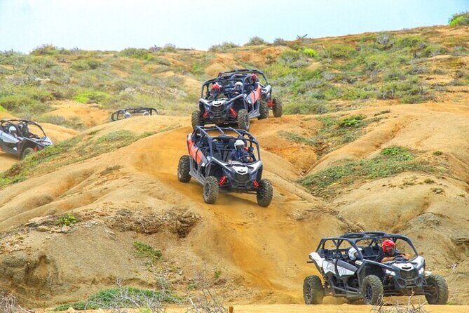 Fun Camel Ride and UTV COMBO with Tequila Tasting! - From Cabo hotels to the Migriño ranch