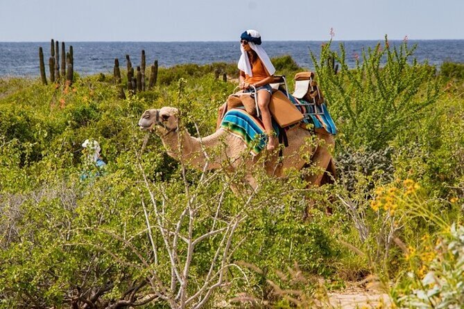 Fun Camel Ride and UTV COMBO with Tequila Tasting! - Tequila tasting and the photo question