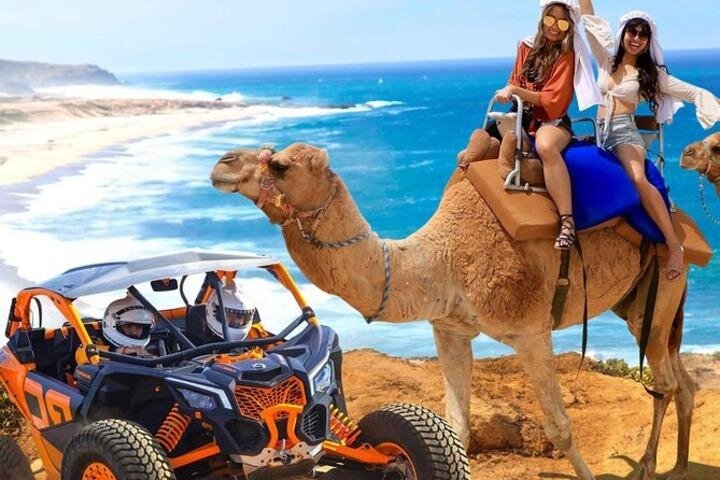 Fun Camel Ride and UTV COMBO with Tequila Tasting! - Is three hours enough for the money?
