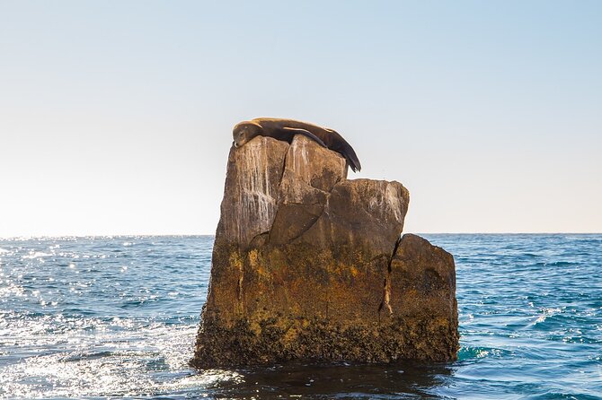 Glass Bottom Boat in Cabo San Lucas, free time in Playa del Amor - Playa del Amor, the optional longer stop