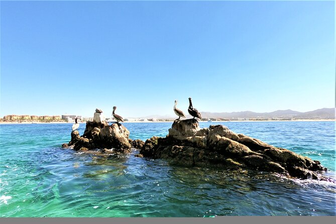 Glass Bottom Boat in Cabo San Lucas, free time in Playa del Amor - The $30 price and what is extra