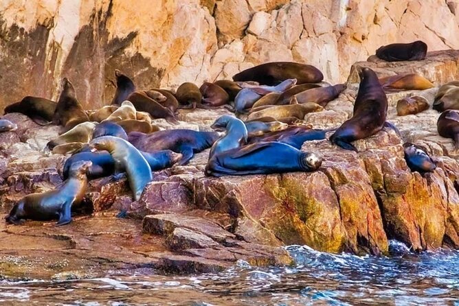 Glass Bottom Boat Sightseeing Tour in Cabo San Lucas - A small boat can make the ride better