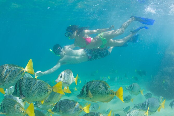 Glass Bottom Boat to the Arch and Lovers Beach: Optional Pickup - Neptune’s Finger and Cabo’s unusual rock formations