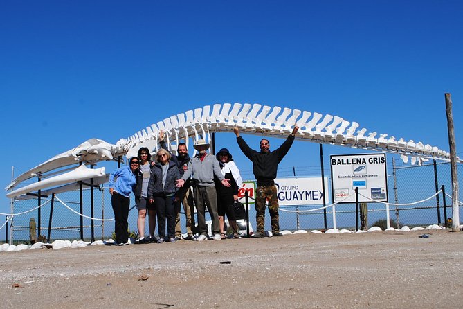 Gray Whale-Watching 2-Day Experience in Magdalena Bay - Guides, boats, and the human side of the trip
