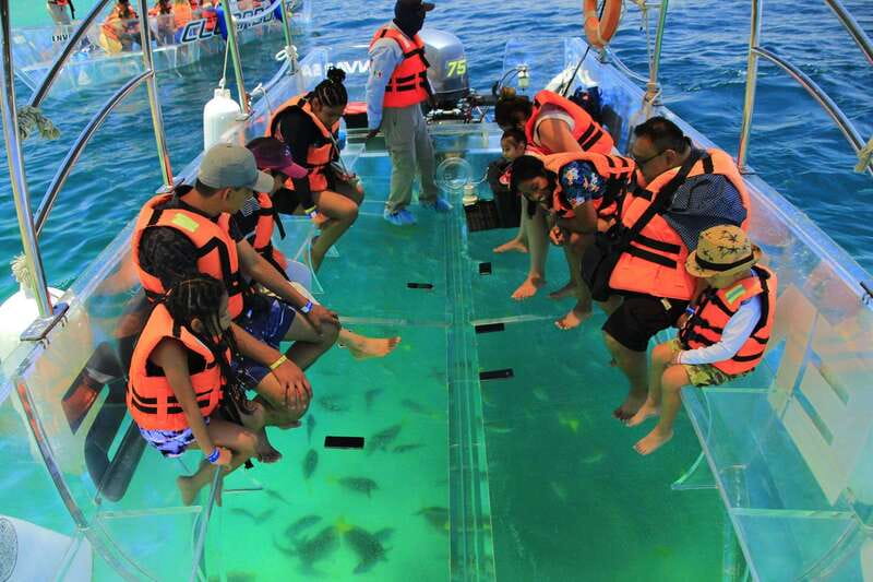 Guided Cabo Tour: Boat | Tacos & Tequila | Photos & Transfer - Should you book it?