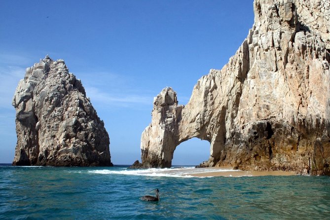Guided Tour Los Cabos: Boat | Tacos & Tequila | Photos & Transfer - One boat, two Cabos, and a useful half-day plan