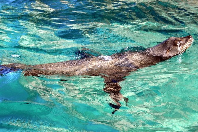 Guided Tour Los Cabos: Boat | Tacos & Tequila | Photos & Transfer - The photo package is useful, but it is not a polished portrait session