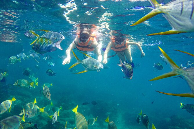 Half Day Cabo Snorkel Adventure with Lunch and Open Bar - Fruit first, lunch later