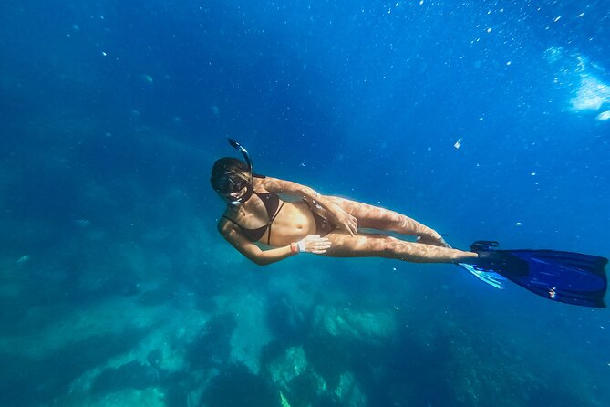 Half Day Cabo Snorkel Adventure with Lunch and Open Bar - From the marina to the first sheltered bay