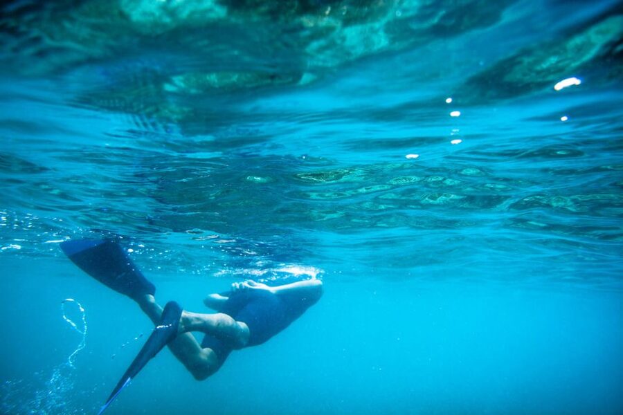Half Day Guided Snorkel Tour in Los Cabos - Who should book this snorkeling trip