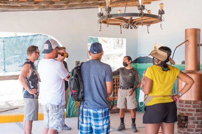 Half-Day San José del Cabo Zip Line and Rappel Adventure - Who will enjoy this Cabo outing most