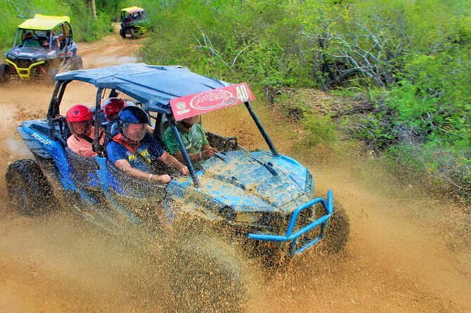 Half-day Wild Desert Polaris Razor UTV Tour - Key points to know before booking