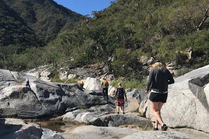 Hike the native Pericu road in Sierra de la Laguna. - Key details at a glance