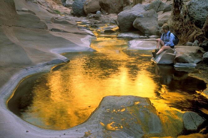 Hike the native Pericu road in Sierra de la Laguna. - The drive from Cabo and the small local stops
