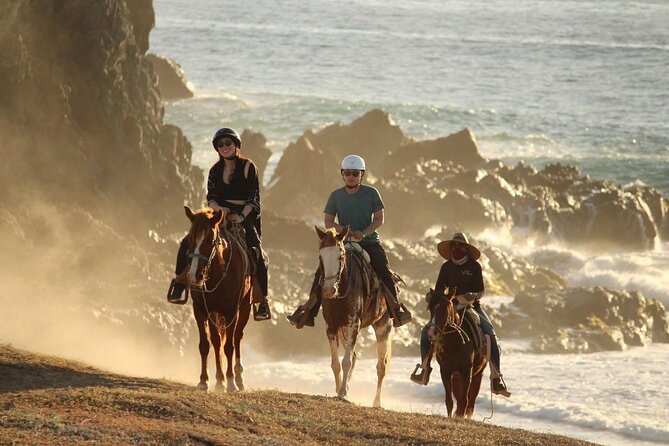 Horse Back Ridding Tour on the Pacific Ocean & Desert - Key points at a glance