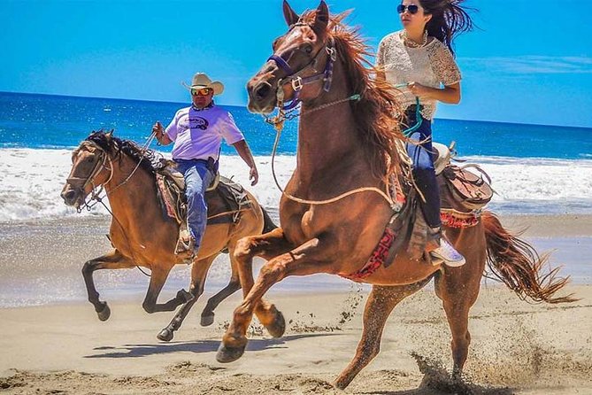Horseback Riding & ATV Combo! Mountain Trails & Beautiful Beaches of BAJA! - Key points to know before you book