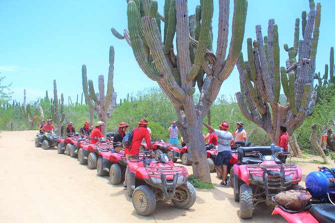 Horseback Riding & ATV Combo! Mountain Trails & Beautiful Beaches of BAJA! - The ATV section is the high-energy half