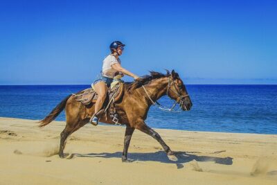 Horseback Riding Beach and Desert in Cabo
