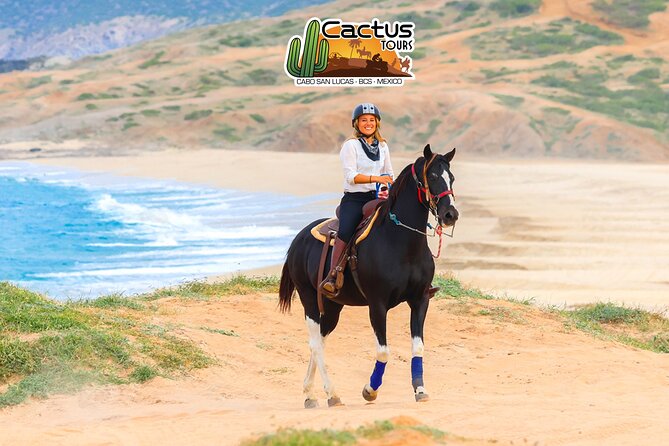 Horseback Riding Beach and Desert in Cabo - Guides, horses, and safety