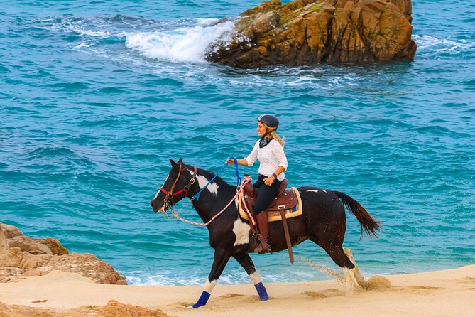 Horseback Riding Beach and Desert in Cabo - Practical booking advice for Cabo