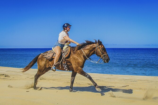 Horseback Riding Beach and Desert in Cabo - Reaching the Pacific beaches