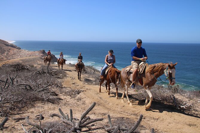 Horseback Riding Experience in Rancho San Cristobal - Key points to know before you ride