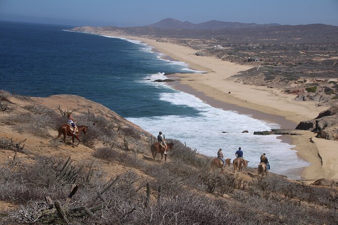 Horseback Riding Experience in Rancho San Cristobal - A short ride from Cabo with a wide change of scenery