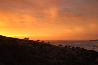 Horseback Riding Experience in Rancho San Cristobal