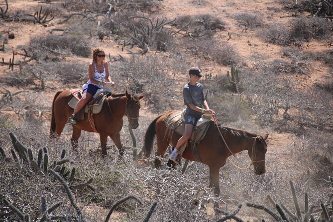Horseback Riding Experience in Rancho San Cristobal - Food at Quelele after the ride