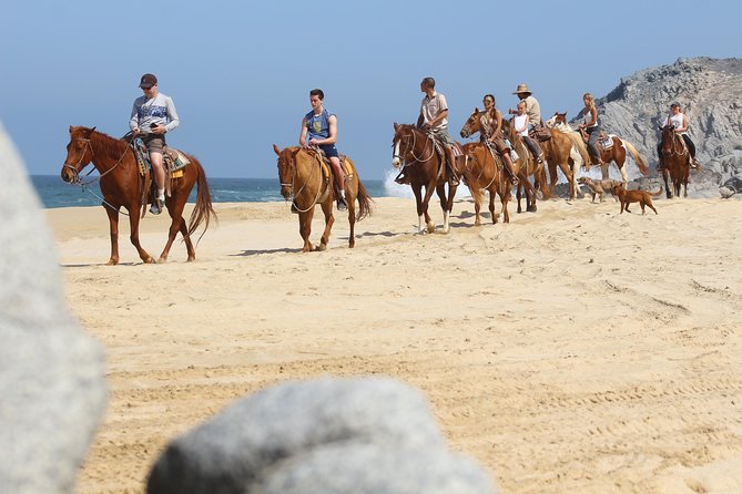 Horseback Riding Tour in Cabo San Lucas - From Cabo hotel to Baja ranch