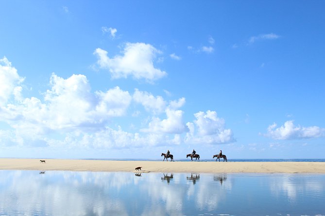 Horseback Riding Tour in Cabo San Lucas - The Pacific coast is the payoff