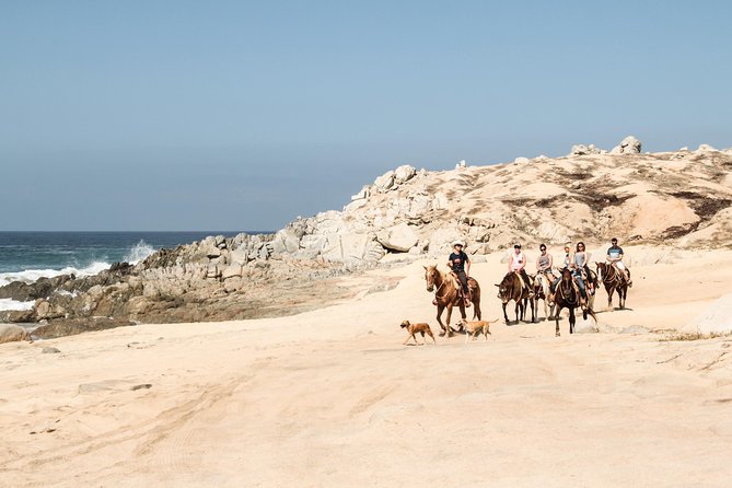 Horseback Riding Tour in Cabo San Lucas - A short ride inside a long activity