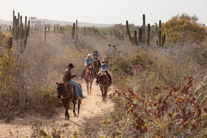 Horseback Riding Tour in Cabo San Lucas - Turtle rescue and ranch life
