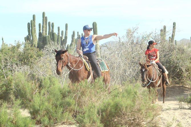 Horseback Riding Tour in Cabo San Lucas - Who will enjoy this Cabo horseback tour