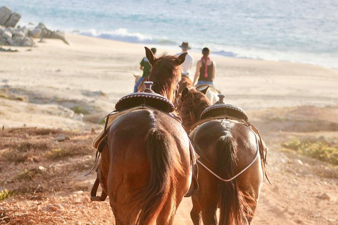 Horseback Riding Tour in Cabo San Lucas - Riding through cactus country