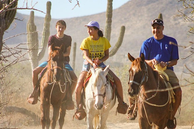 Horseback Riding Tour in Los Cabos - Key points to know before you book
