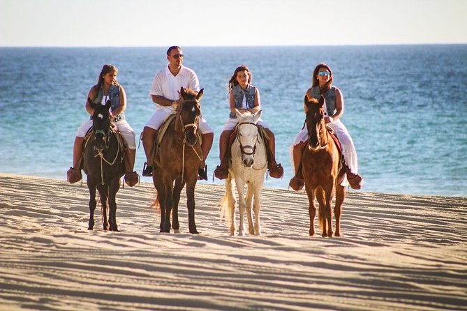 Horseback Riding Tour in Los Cabos - Getting comfortable with your horse