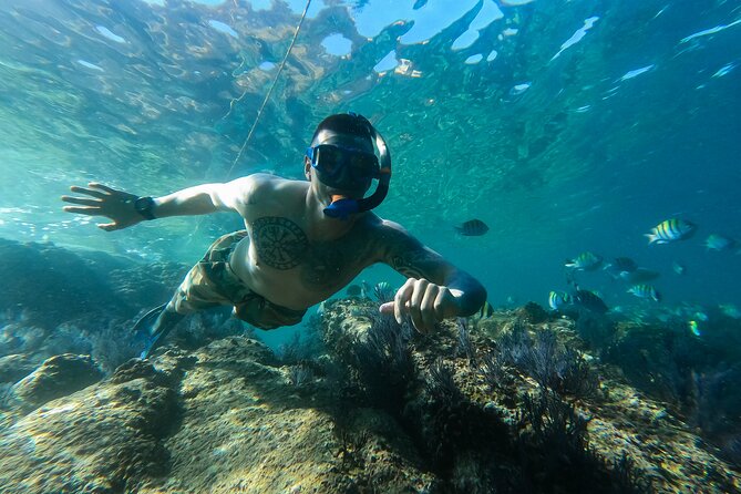Kayak Expedition to the Arch of Cabo San Lucas, Lovers Beach & Snorkel - Who will enjoy this Cabo kayak tour most