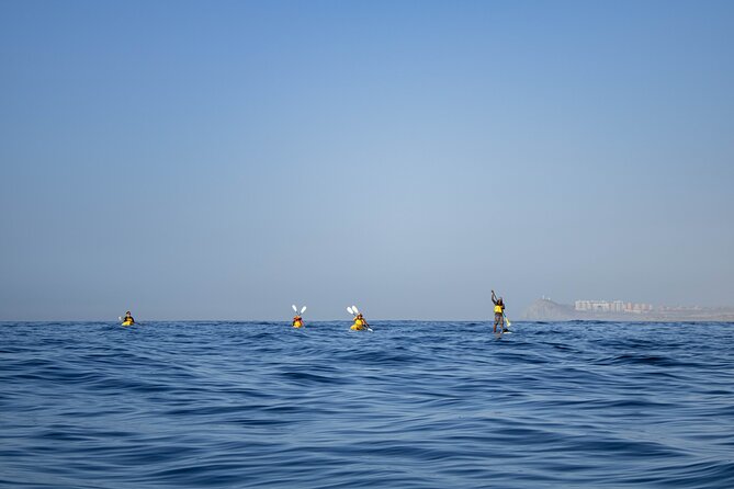 Kayak from Viudas Beach to Chileno Bay & Snorkel + Beach Time - What the $90 price buys you
