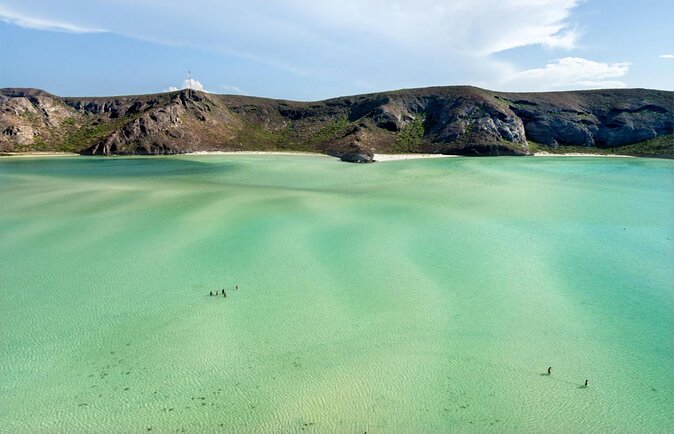 La Paz, Balandra and Todos Santos from CABO and San Jose - Key points before you book
