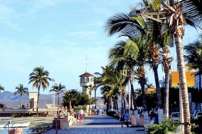 La Paz Whale Shark Snorkeling Tour and Lunch From Los Cabos - Weather, closures, and the whale shark season
