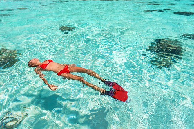 La Paz World Class Snorkeling in Balandras Hidden Beaches - The long road from Cabo to Pichilingue