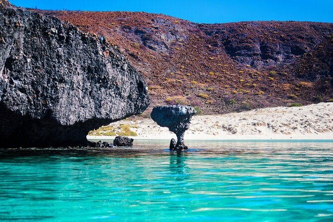 La Paz World Class Snorkeling in Balandras Hidden Beaches - Food, drinks, and the value of $219