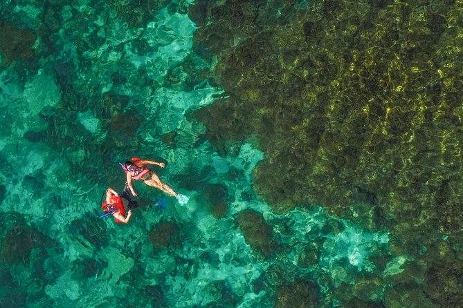 La Paz World Class Snorkeling in Balandras Hidden Beaches - Who should book this Balandra tour?