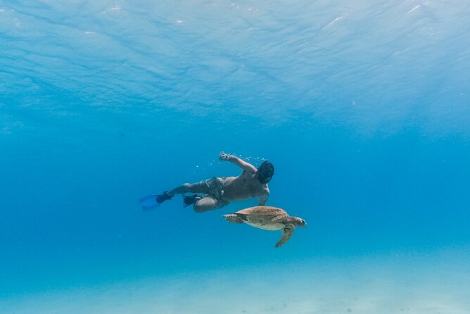 La Paz World Class Snorkeling in Balandras Hidden Beaches - Should you book it?