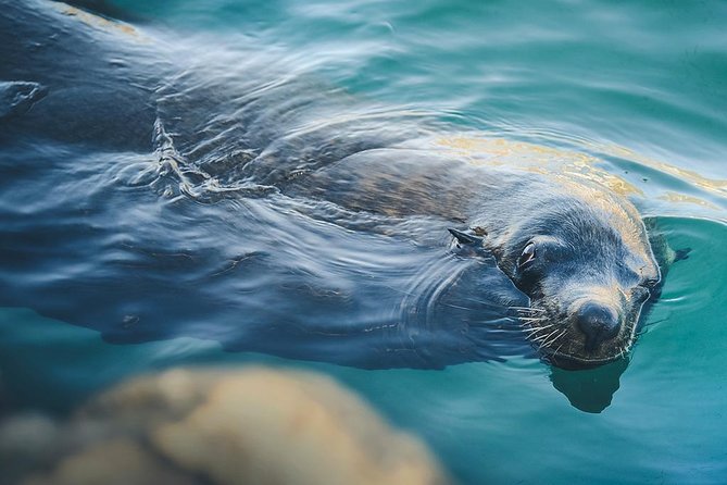 Land’s End Experience – Arch, Beaches & Marine Life - Land’s End and the meeting of two seas