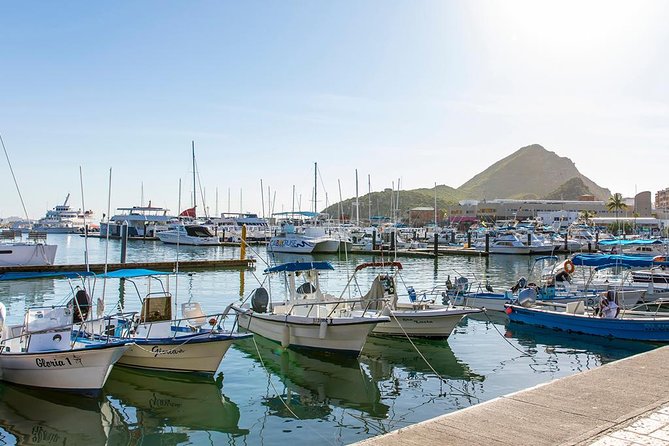 Land’s End Experience – Arch, Beaches & Marine Life - Downtown Cabo San Lucas and the flexible final hour