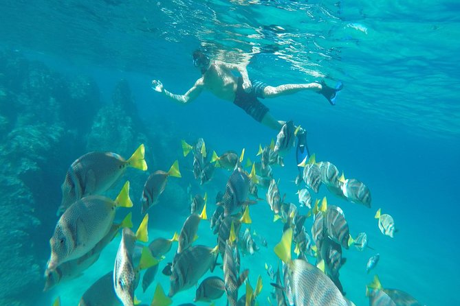 Land's End & Snorkel Tour in a Glass Bottom Boat (VisitA Cabo) - Finding the boat at Cabo Marina