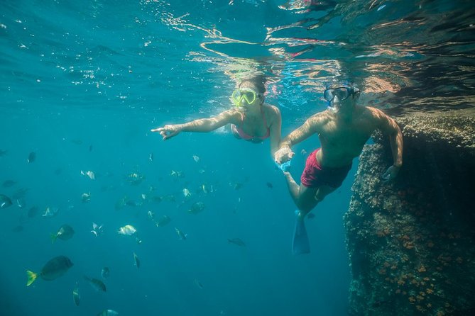 Land's End & Snorkel Tour in a Glass Bottom Boat (VisitA Cabo) - What the short boat ride includes