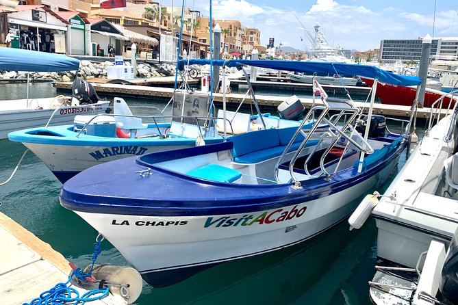 Land's End Tour in a Glass Bottom Boat - Meeting at the Cabo San Lucas Marina